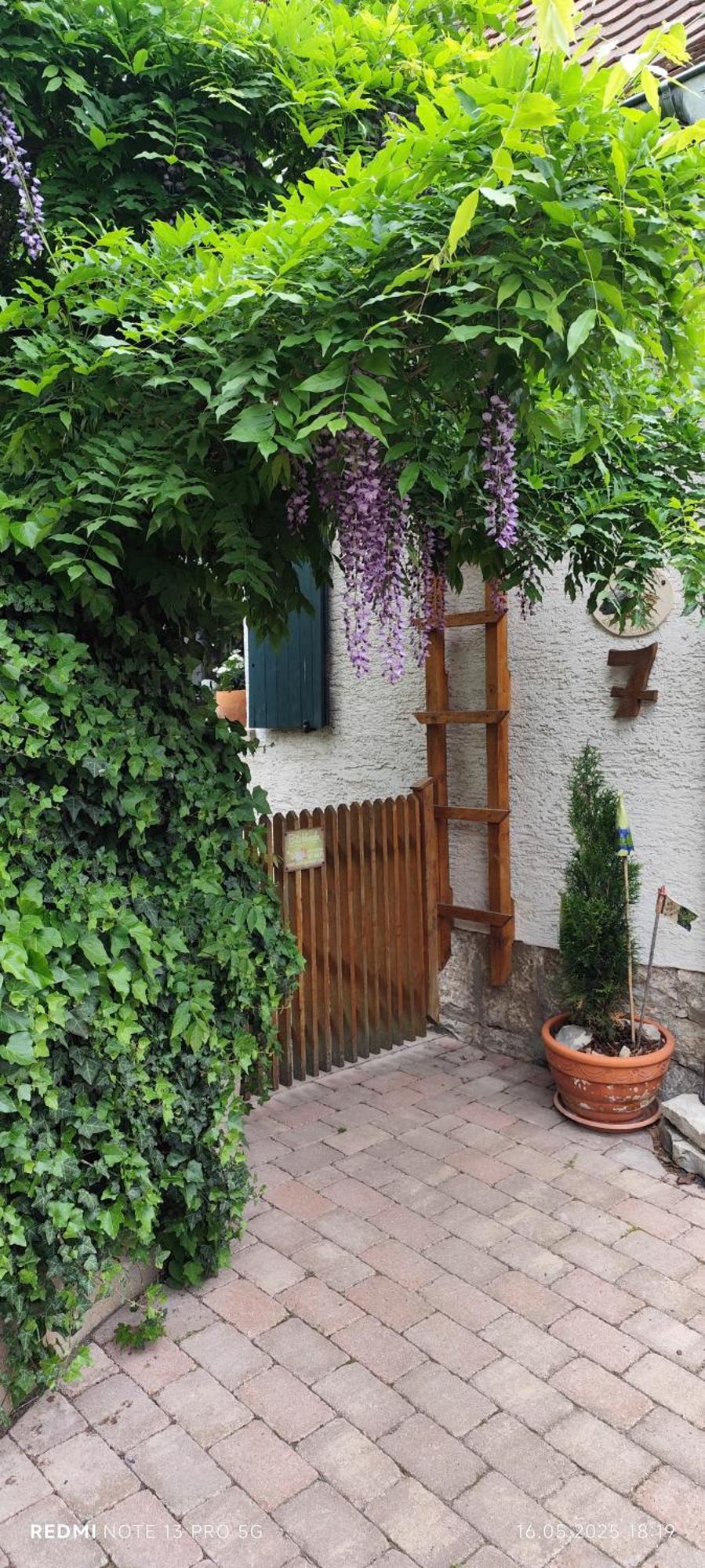 Ferienwohnung Geiernest Ochsenfurt Esterno foto