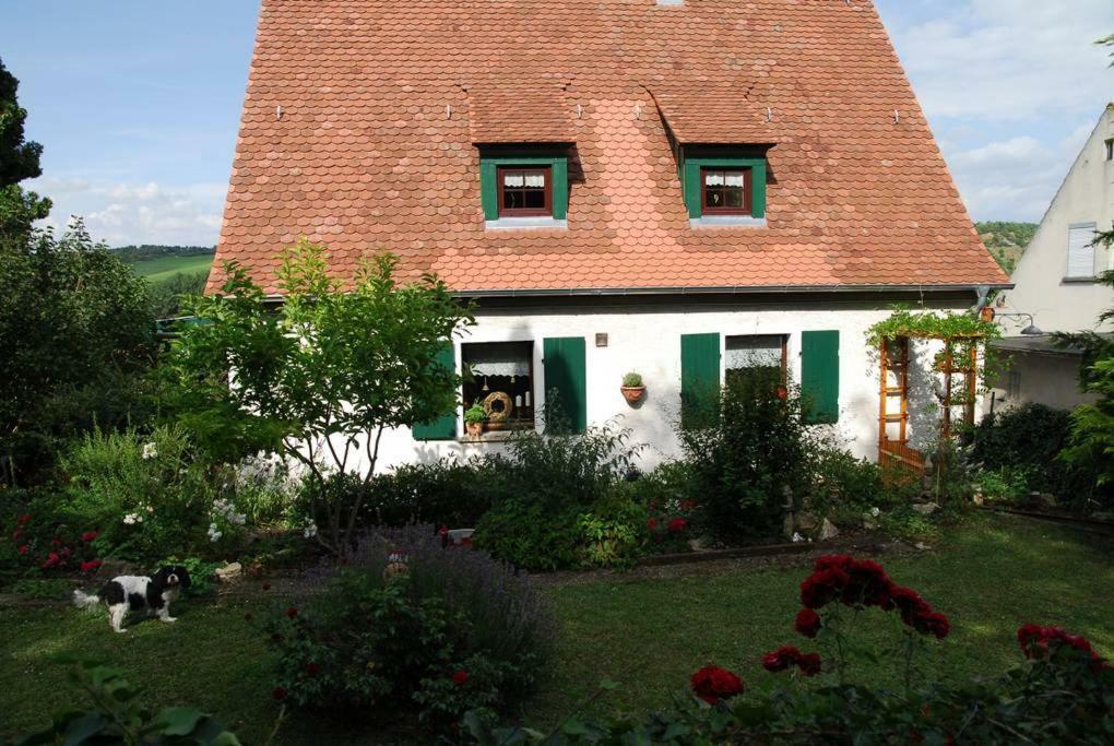 Ferienwohnung Geiernest Ochsenfurt Esterno foto